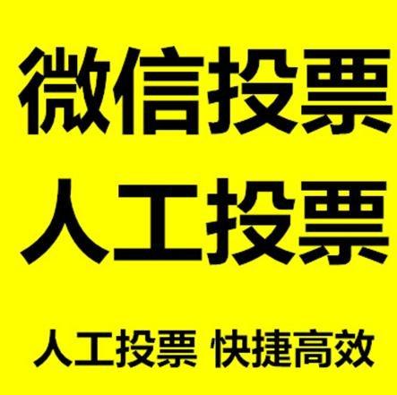 双鸭山市微信刷票怎么投票